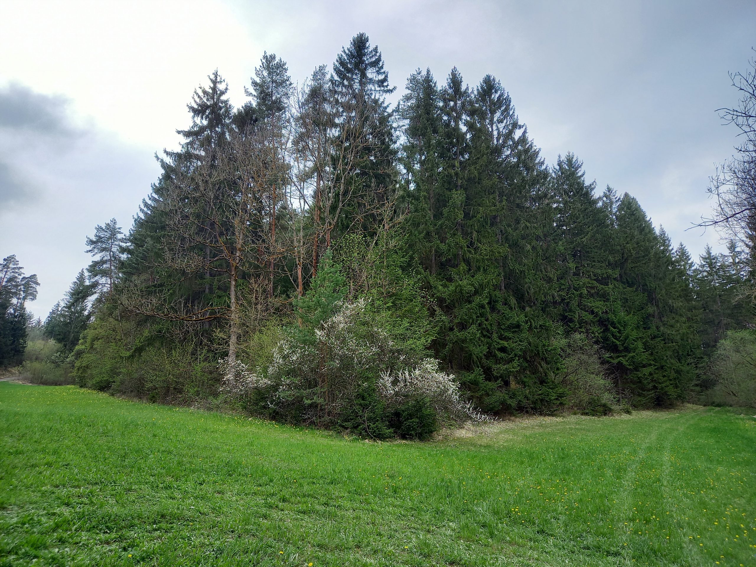 Immobilien Brandt, Referenz Wald Thüringen
