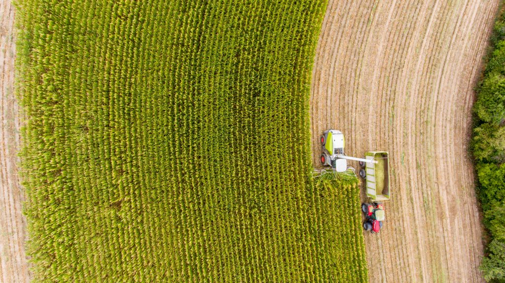Ackerland - Maisernte