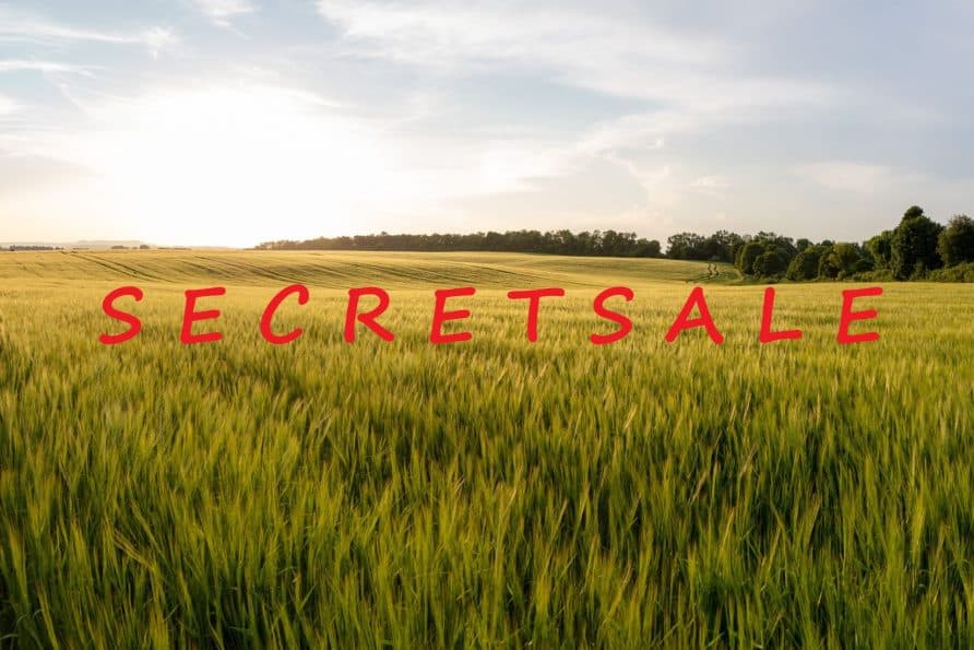 Diskreter Immobilienverkauf – wann ist er sinnvoll?