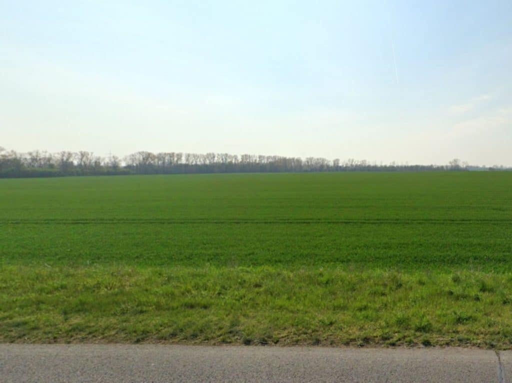 Titelfoto Ackerland Bördeland