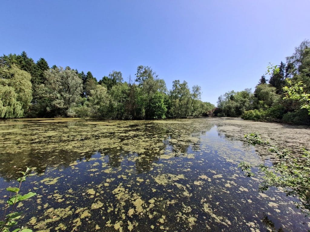 Fischteich Issendorf