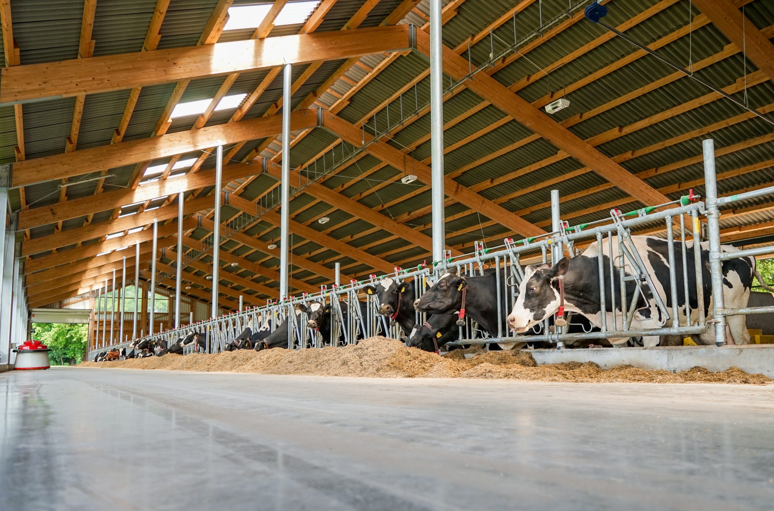 Sale and Lease Back modernen Milchviehstall