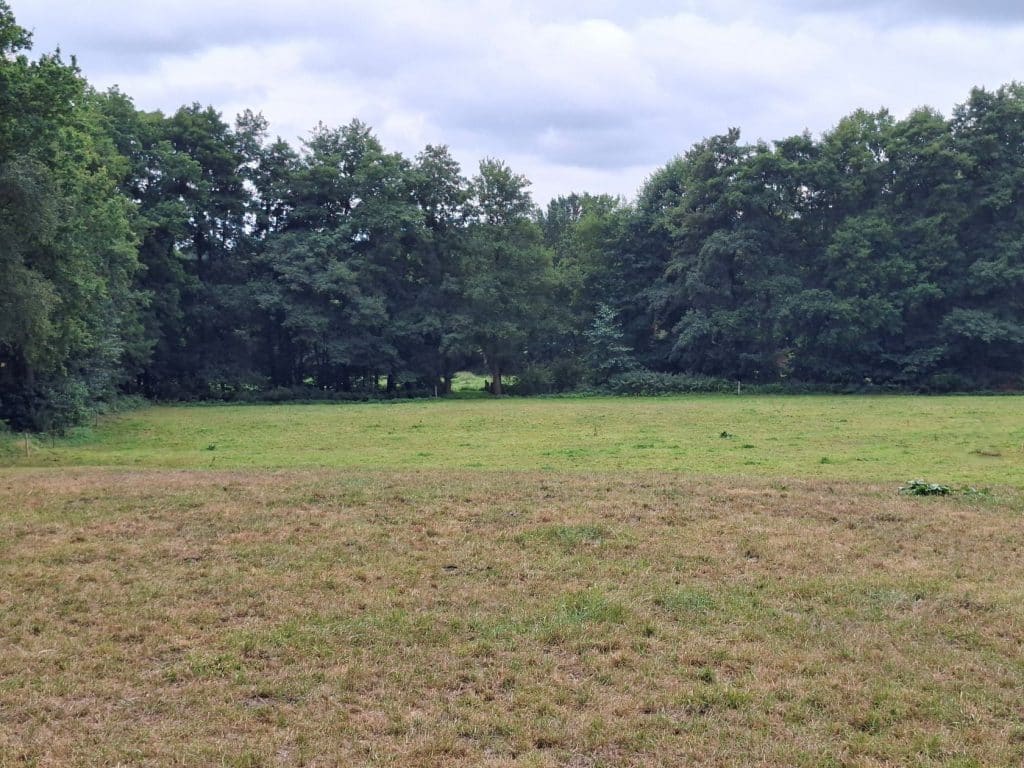 Grünland Ostereistedt